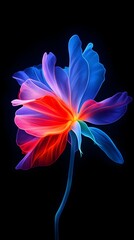A vibrant, stylized flower with translucent, glowing petals in shades of red, blue, and purple against a black background. The stem is thin and delicate