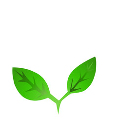 Vibrant green seedling against a stark black backdrop symbolizes growth and nature