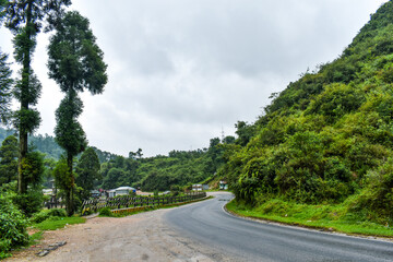 Winding road through lush green hills under a cloudy sky in Meghalaya. 