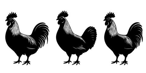 Fototapeta premium Variations of farm animal shadow silhouettes showcasing distinct rooster forms in black vector design