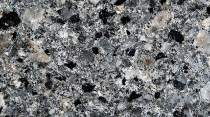 Sharp Focus Black Speckled Granite