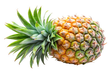 pineapple fruit image isolated on transparent