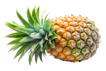 pineapple fruit image isolated on transparent