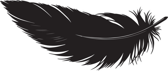 Obraz premium vector illustration of black and white feather