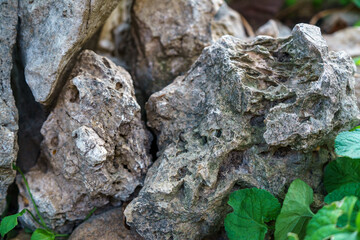 Rough, weathered grey rocks and stones with visible textures and crevices, partially covered by vibrant green leaves, showcasing natural outdoor elements.