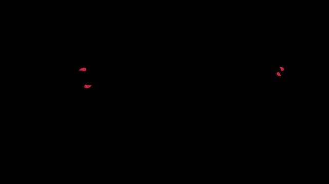 Animation video. 