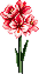Pixel Art Pink Amaryllis Flower Stem Isolated White Background