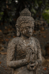 Obraz premium statue of buddha