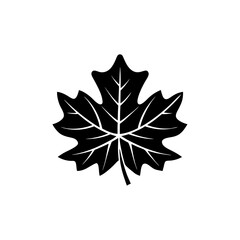 creative and simple minimal details Outline Maple leaf icon vector 