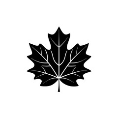 creative and simple minimal details Outline Maple leaf icon vector 