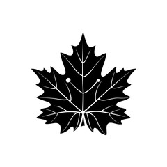 Fototapeta premium creative and simple minimal details Outline Maple leaf icon vector 