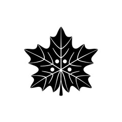 creative and simple minimal details Outline Maple leaf icon vector 