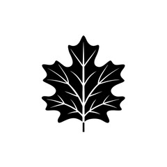 creative and simple minimal details Outline Maple leaf icon vector 