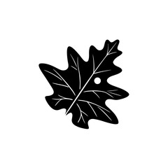 Fototapeta premium creative and simple minimal details Outline Maple leaf icon vector 