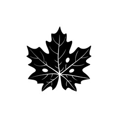 Fototapeta premium creative and simple minimal details Outline Maple leaf icon vector 