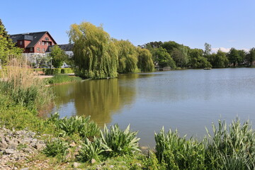 Blick auf den Schloonsee bei Heringsdorf auf der Ostseeinsel Usedom