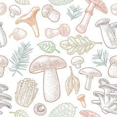 Seamless pattern mushroom. Vintage vector engraving color illustration. Isolated on white