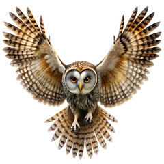 Flying Owl Full Body PNG Silhouette Isolated on Transparent Background