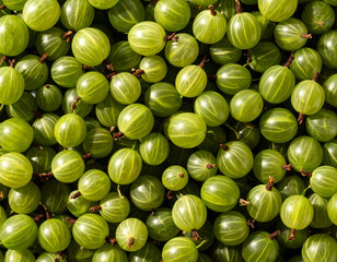 Gooseberries still life photograph