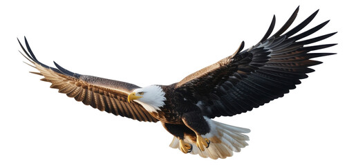 Fototapeta premium A silver eagle soaring with outstretched wings and sharp talons, showcasing majestic flight and detailed metallic texture, Isolated Transparent Background