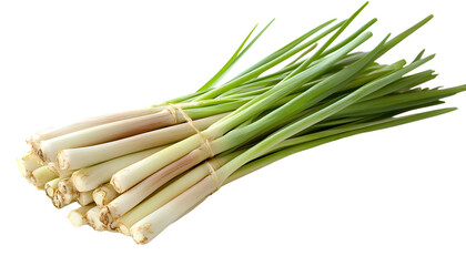 Fototapeta premium lemon grass on a white background