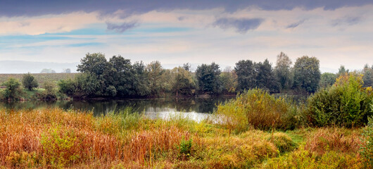 Autumn river landscape with reeds in the foreground and a forest on the horizon under a cloudy sky