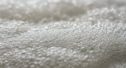 Obraz premium Frost covering winter vegetation