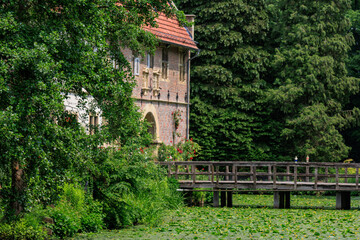 Obraz premium Sommer in den Baumbergen