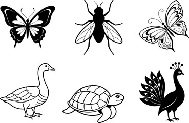 Butterfly and insect collection with silhouettes and wings in nature