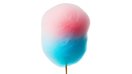 Sweet Delight Two-Tone Pink and Blue Cotton Candy