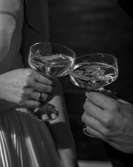 Two people toast with elegant champagne glasses in a black and white scene, capturing a moment of celebration and connection. The image conveys a sense of sophistication and joy.