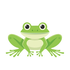A cute green frog illustration with big eyes on a white backdrop