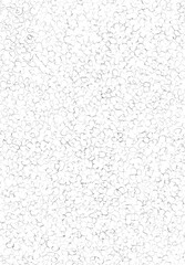 hydrangea watercolor pencil(15)