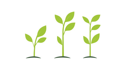 Fototapeta premium Professional Growth Chart Icon Vector Isolated Illustration