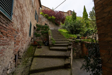 Rustic Stone Staircase in Garden