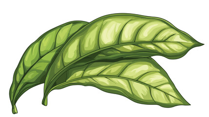 Vibrant Tobacco Leaf Cartoon Vector Illustration Isolated on White Background