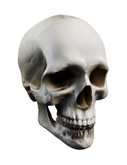 Skull, painting style, isolated transparent background 
