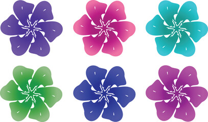 Colorful Daisy blossom flowers Set. Decoration Vector Flowers Set.