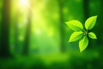 Emerald green bokeh, sunlit leaves, blurred forest background, delicate, canopy
