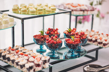 Beautiful cakes and cookies. Wedding candy bar. Delicious creamy desserts with fruits, macarons, cakes and cookies on table at wedding reception in restaurant. Luxury catering service.