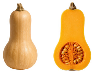 Freshly Harvested Butternut Squash Whole and Halved Showcasing Vibrant Orange Flesh and Seeds, Isolated on Transparent and White Background