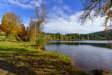 Windgfallweiher lake, in the Black Forest