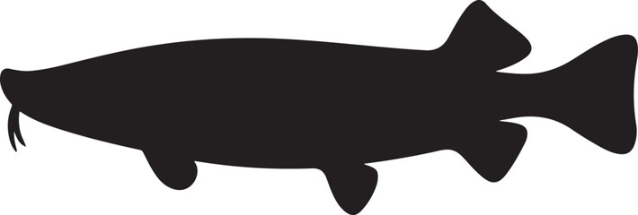 Black Silhouette of Arapaima Fish Aquatic Animal