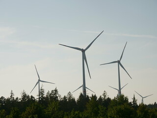 Group of wind turbines are in a forest © flucas