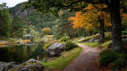 Scenic Forest Path Overlooking a Tranquil Lake in Autumn Season