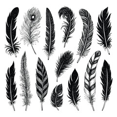 Hand-Drawn Feather Collection – Vintage Black and White Engraved Style Bird Feather Vector Set