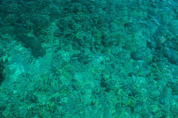 Green and blue sea
