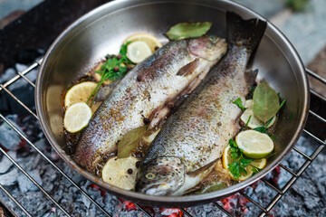 Person grilling vegetables, sausages, chicken, trout over charcoal in a backyard during summer. Outdoor cooking with real flames and smoke in a cozy home setting