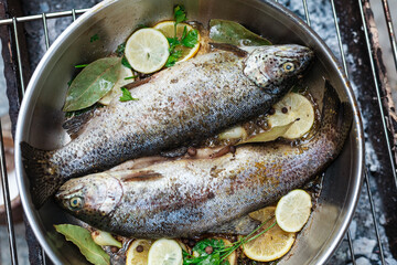Person grilling vegetables, sausages, chicken, trout over charcoal in a backyard during summer. Outdoor cooking with real flames and smoke in a cozy home setting