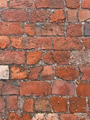 Obraz premium red brick background, red tile path